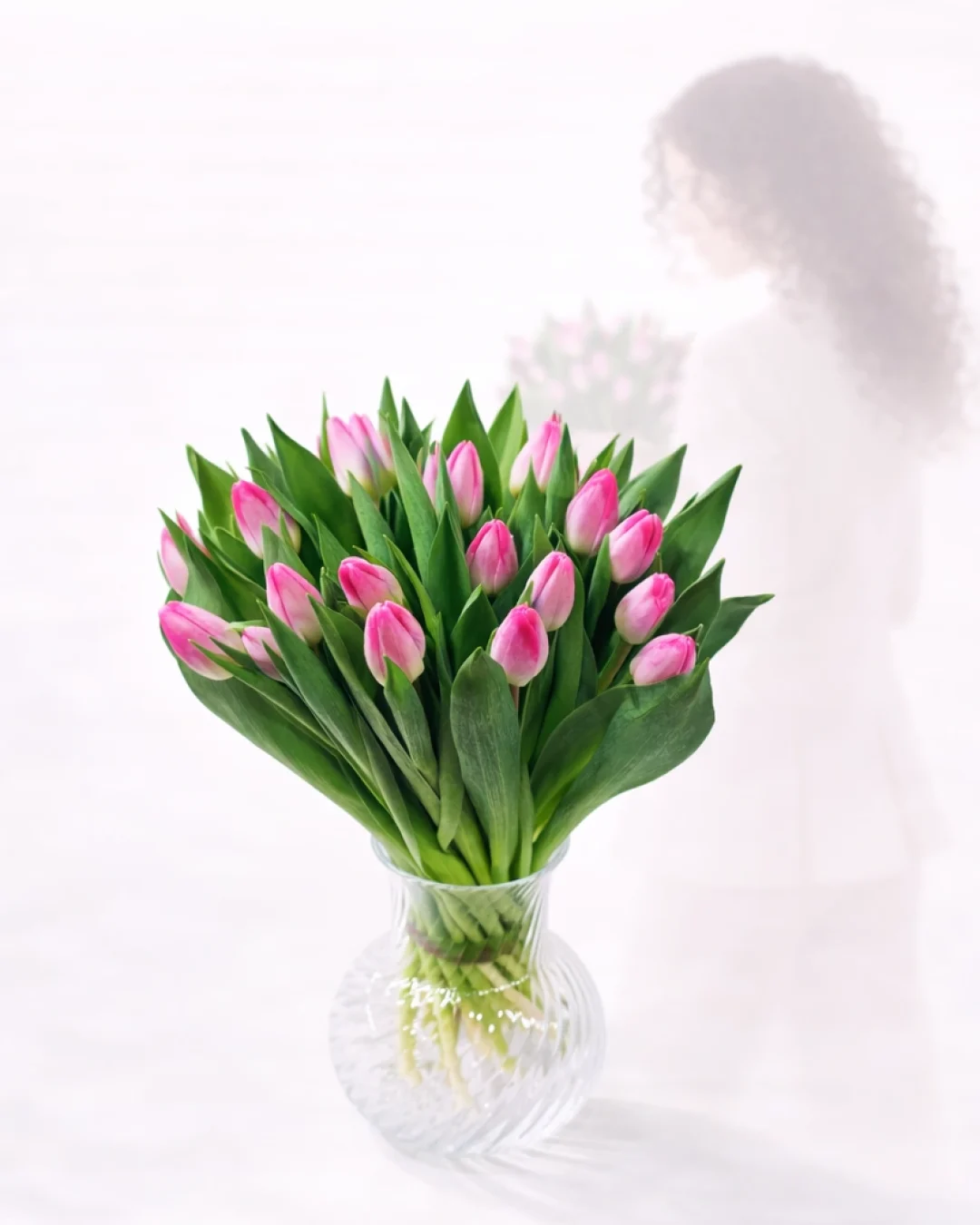 Tulpė "Rosy"